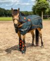 Horse sets
