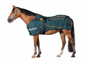 Paardendeken