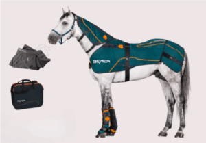 BEMER Horse Premium