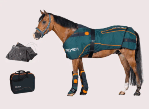 BEMER Horse set
