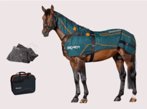 BEMER Perfect Horse Duo